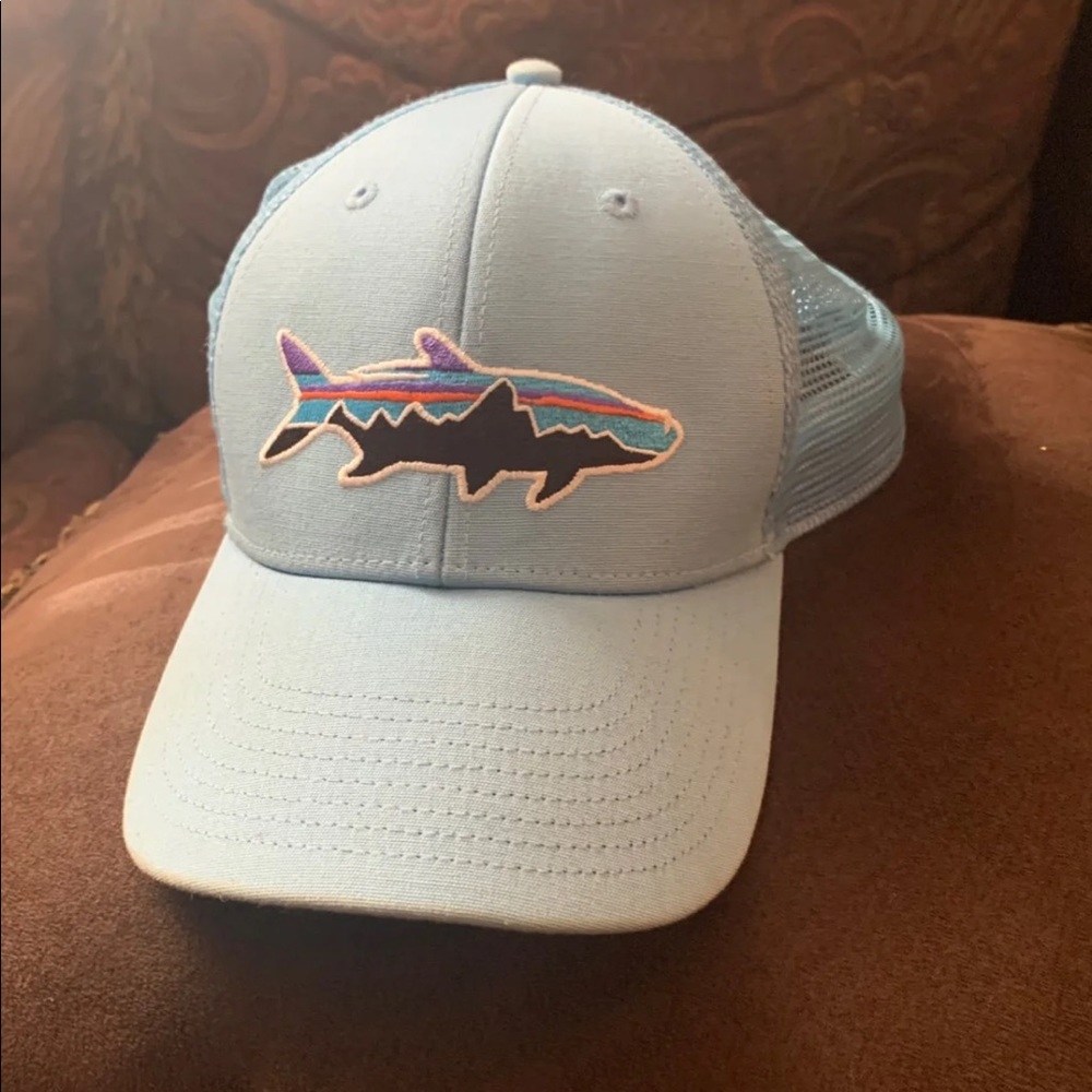 Patagonia hat blue fitz roy